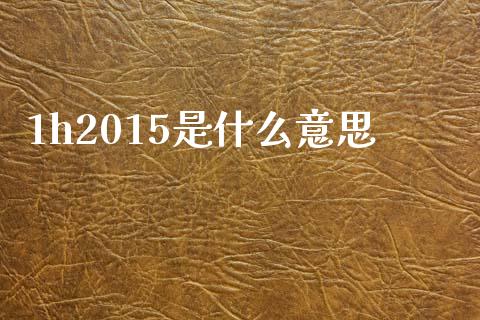 1h2015是什么意思_https://wap.kuaijiepai.net_外汇交易_第1张