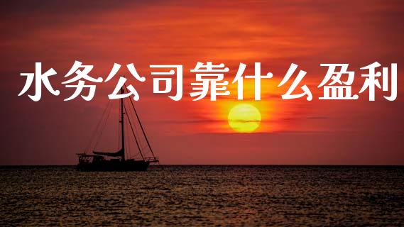 水务公司靠什么盈利_https://wap.kuaijiepai.net_财务咨询_第1张