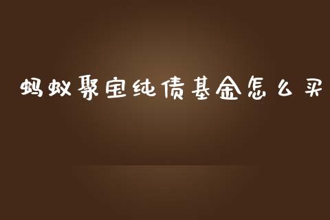 蚂蚁聚宝纯债基金怎么买_https://wap.kuaijiepai.net_金融科技_第1张
