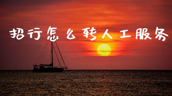 招行怎么转人工服务_https://wap.kuaijiepai.net_财务风控_第1张