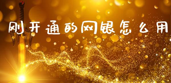刚开通的网银怎么用_https://wap.kuaijiepai.net_财务风控_第1张