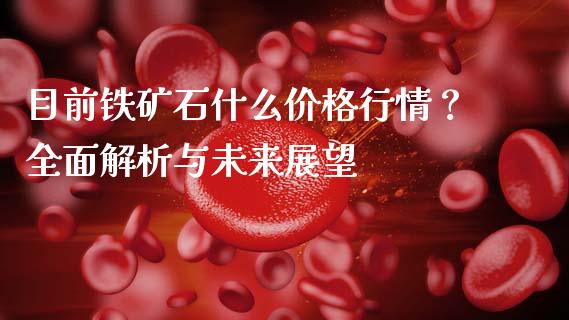 目前铁矿石什么价格行情？全面解析与未来展望_https://wap.kuaijiepai.net_财务咨询_第1张