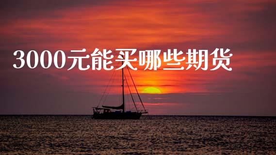 3000元能买哪些期货_https://wap.kuaijiepai.net_财务风控_第1张