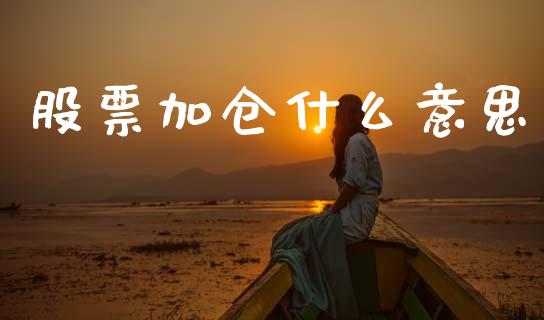 股票加仓什么意思_https://wap.kuaijiepai.net_财务风控_第1张