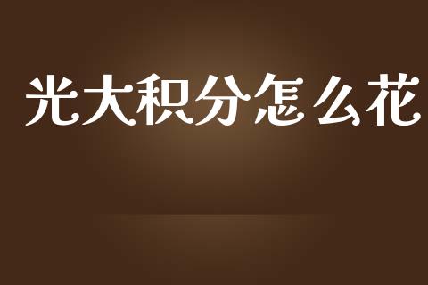 光大积分怎么花_https://wap.kuaijiepai.net_外汇交易_第1张