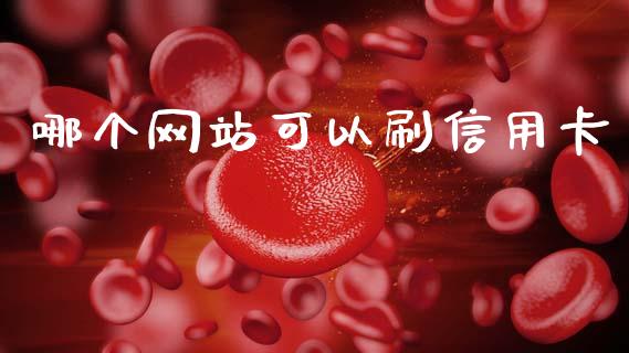 哪个网站可以刷信用卡_https://wap.kuaijiepai.net_外汇交易_第1张