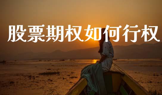 股票期权如何行权_https://wap.kuaijiepai.net_财务风控_第1张