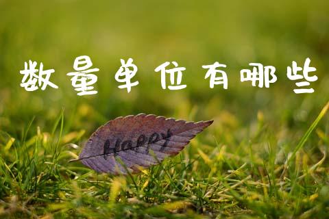 数量单位有哪些_https://wap.kuaijiepai.net_财务咨询_第1张