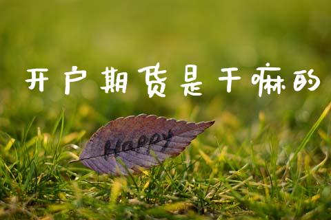开户期货是干嘛的_https://wap.kuaijiepai.net_金融科技_第1张