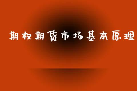 期权期货市场基本原理_https://wap.kuaijiepai.net_财务咨询_第1张