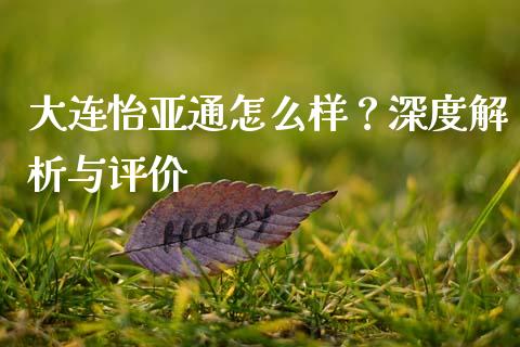 大连怡亚通怎么样？深度解析与评价_https://wap.kuaijiepai.net_金融科技_第1张