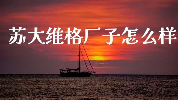苏大维格厂子怎么样_https://wap.kuaijiepai.net_财务风控_第1张