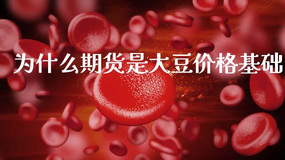 为什么期货是大豆价格基础_财务风控_第1张_金融科技_财务风控_外汇交易_财务咨询 为什么期货是大豆价格基础_https://wap.kuaijiepai.net_财务风控_第1张