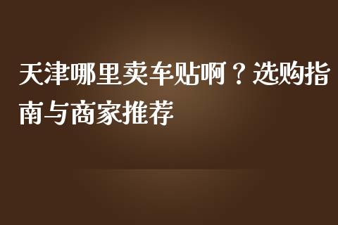 天津哪里卖车贴啊？选购指南与商家推荐_https://wap.kuaijiepai.net_财务风控_第1张