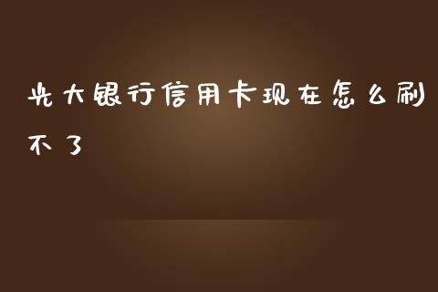 光大银行信用卡现在怎么刷不了_https://wap.kuaijiepai.net_财务风控_第1张