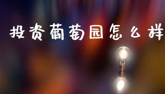 投资葡萄园怎么样_外汇交易_第1张_金融科技_财务风控_外汇交易_财务咨询 投资葡萄园怎么样_https://wap.kuaijiepai.net_外汇交易_第1张