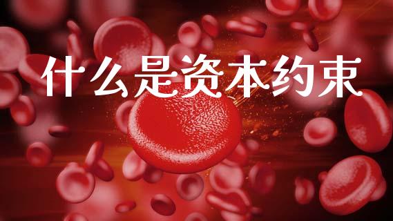 什么是资本约束_https://wap.kuaijiepai.net_金融科技_第1张