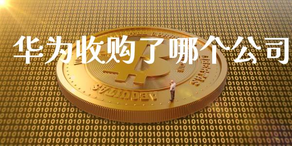 华为收购了哪个公司_https://wap.kuaijiepai.net_外汇交易_第1张