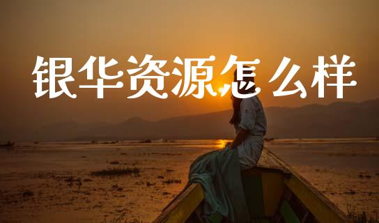 银华资源怎么样_https://wap.kuaijiepai.net_财务咨询_第1张