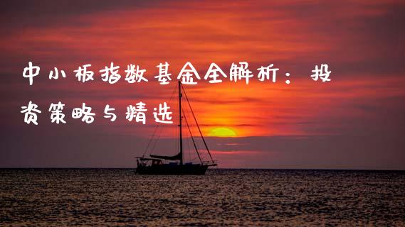 中小板指数基金全解析：投资策略与精选_https://wap.kuaijiepai.net_金融科技_第1张