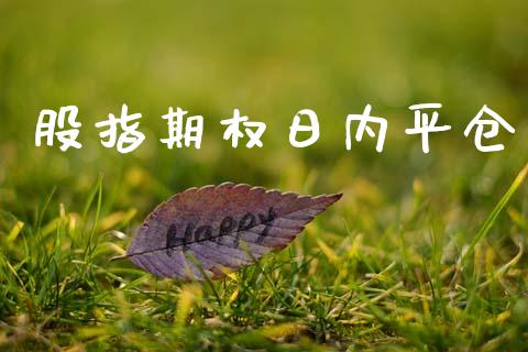 股指期权日内平仓_https://wap.kuaijiepai.net_财务风控_第1张