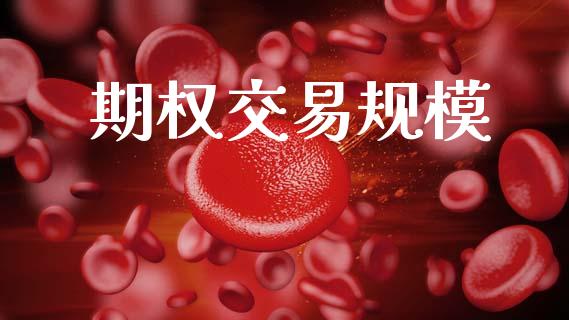 期权交易规模_https://wap.kuaijiepai.net_外汇交易_第1张