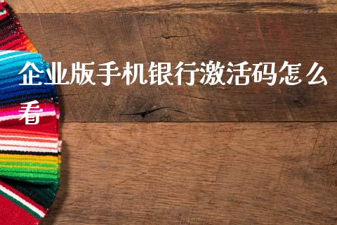 企业版手机银行激活码怎么看_https://wap.kuaijiepai.net_金融科技_第1张