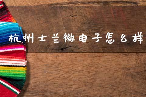 杭州士兰微电子怎么样_https://wap.kuaijiepai.net_金融科技_第1张