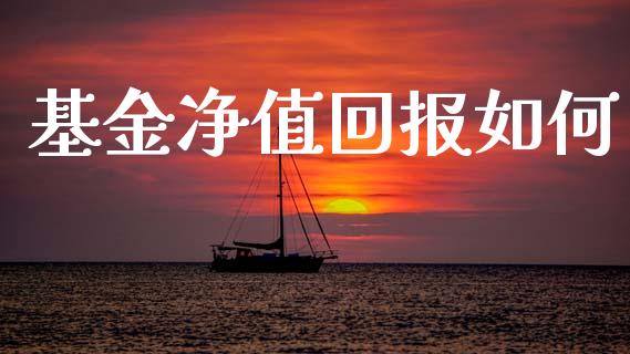 基金净值回报如何_https://wap.kuaijiepai.net_外汇交易_第1张