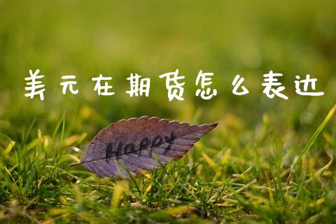 美元在期货怎么表达_https://wap.kuaijiepai.net_外汇交易_第1张