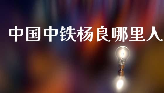 中国中铁杨良哪里人_https://wap.kuaijiepai.net_财务咨询_第1张