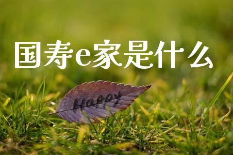 国寿e家是什么_https://wap.kuaijiepai.net_金融科技_第1张