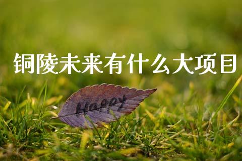 铜陵未来有什么大项目_财务风控_第1张_金融科技_财务风控_外汇交易_财务咨询 铜陵未来有什么大项目_https://wap.kuaijiepai.net_财务风控_第1张