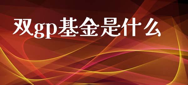 双gp基金是什么_https://wap.kuaijiepai.net_金融科技_第1张