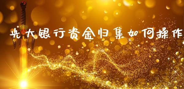 光大银行资金归集如何操作_https://wap.kuaijiepai.net_外汇交易_第1张