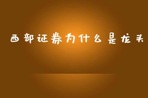 西部证券为什么是龙头_https://wap.kuaijiepai.net_财务风控_第1张