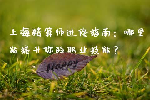 上海精算师进修指南：哪里能提升你的职业技能？_https://wap.kuaijiepai.net_财务咨询_第1张