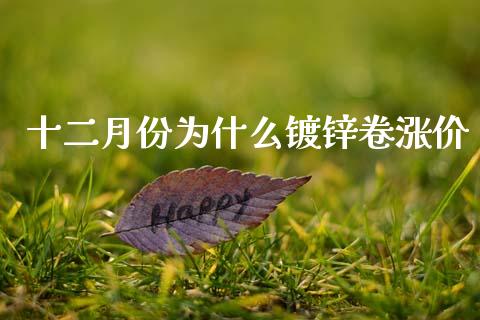 十二月份为什么镀锌卷涨价_https://wap.kuaijiepai.net_财务风控_第1张