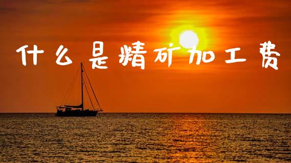什么是精矿加工费_https://wap.kuaijiepai.net_金融科技_第1张