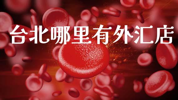 台北哪里有外汇店_https://wap.kuaijiepai.net_外汇交易_第1张
