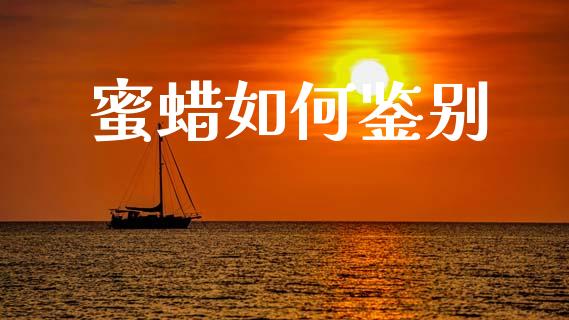 蜜蜡如何鉴别_https://wap.kuaijiepai.net_金融科技_第1张