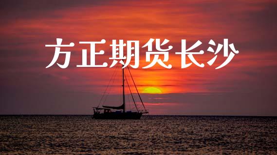 方正期货长沙_https://wap.kuaijiepai.net_财务风控_第1张