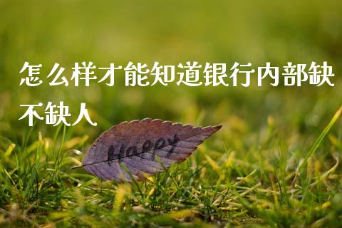 怎么样才能知道银行内部缺不缺人_https://wap.kuaijiepai.net_财务风控_第1张