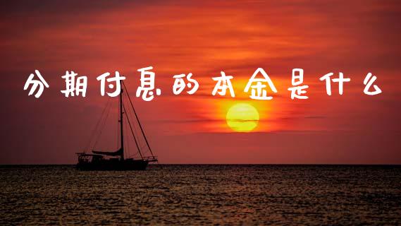 分期付息的本金是什么_https://wap.kuaijiepai.net_财务咨询_第1张
