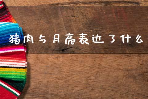 猪肉与月亮表达了什么_https://wap.kuaijiepai.net_外汇交易_第1张