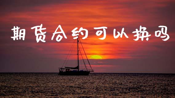 期货合约可以换吗_https://wap.kuaijiepai.net_财务风控_第1张