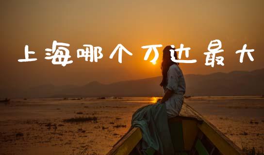 上海哪个万达最大_https://wap.kuaijiepai.net_金融科技_第1张