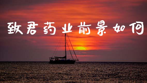 致君药业前景如何_https://wap.kuaijiepai.net_外汇交易_第1张