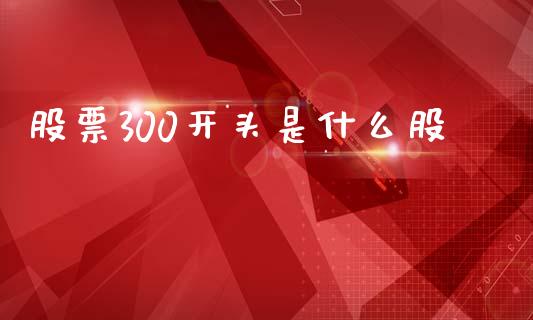 股票300开头是什么股_https://wap.kuaijiepai.net_财务风控_第1张