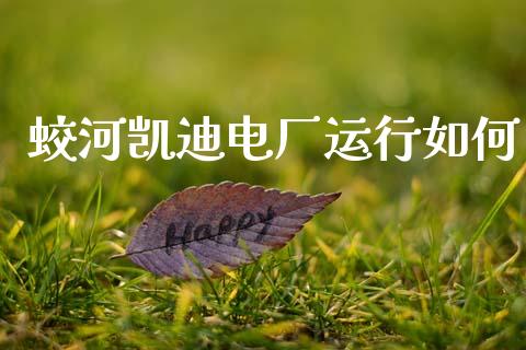 蛟河凯迪电厂运行如何_https://wap.kuaijiepai.net_外汇交易_第1张
